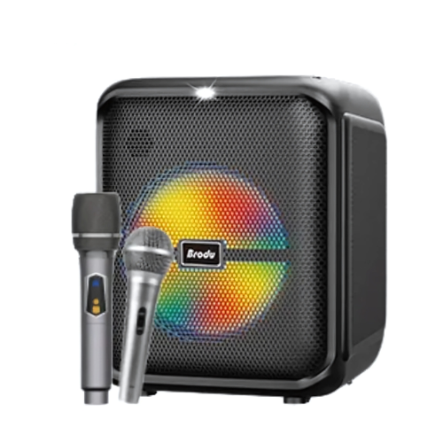 Brodu BTS-1740 Bluetooth karaoke Speaker