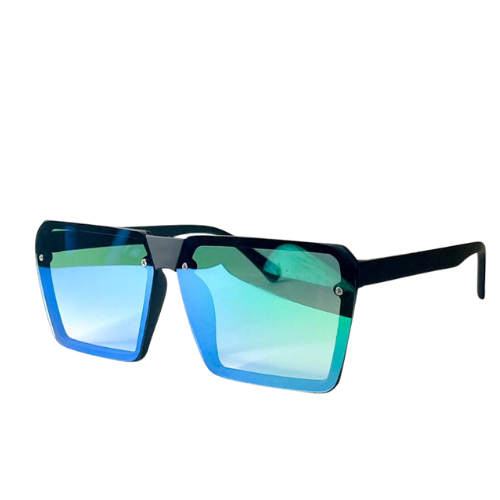 Mens Sunglass SG 207