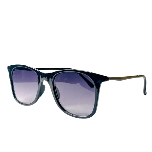 Mens Sunglass SG 202