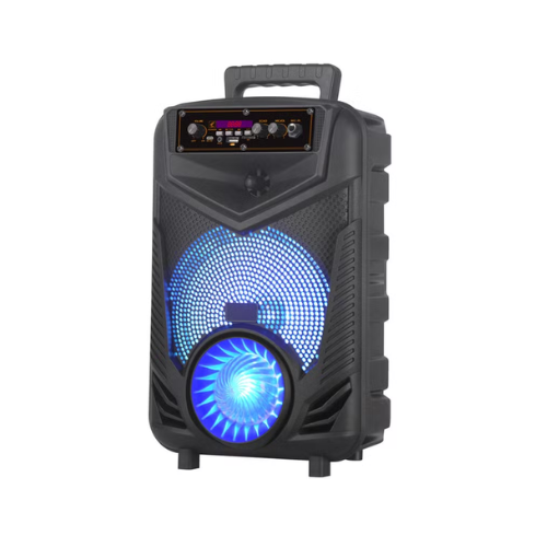 NDR-P44 8 Inch 20W Mini Speaker Wireless Bluetooth Speaker