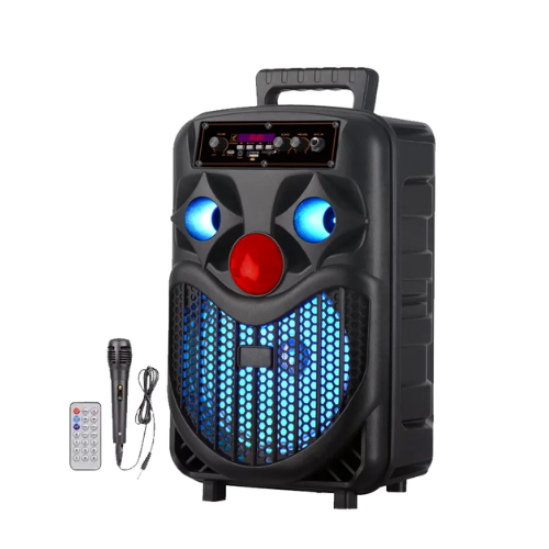 NDR P66 Bluetooth Karaoke Speaker