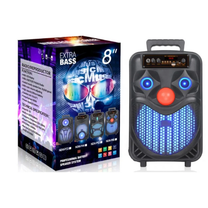 NDR P66 Bluetooth Karaoke Speaker
