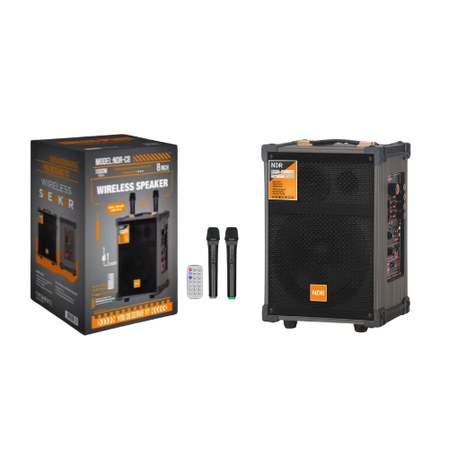 NDR-C8 8inch Bluetooth Speakers